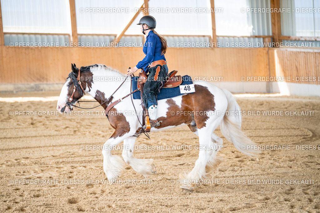 DSC03012 | Pferdegrafie