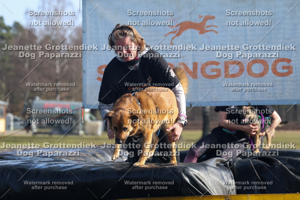 Dog Paparazzi - Strongdog North Mrz26-1403 | Dog Paparazzi Jeanette Grottendiek Fotografie & Videografie - Realisiert mit Pictrs.com