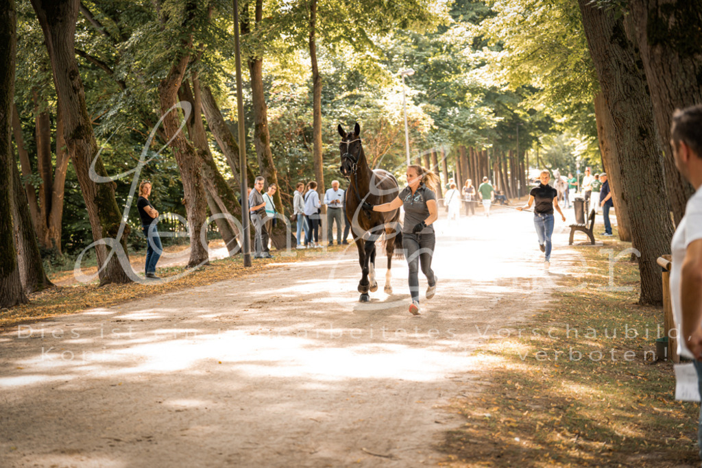 FrPfM00166 | Leoni Ertmer Photography - Realisiert mit Pictrs.com