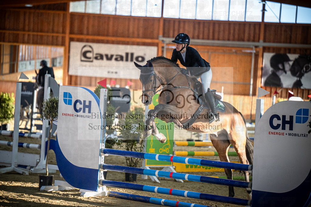 DOS_1611 | Entdecke hochwertige Reitturnierfotos von Foto Oger. Professionell, emotional und authentisch – jetzt Lieblingsmomente im Shop bestellen.Deutschlandweite Turnierfotografie. - Realisiert mit Pictrs.com