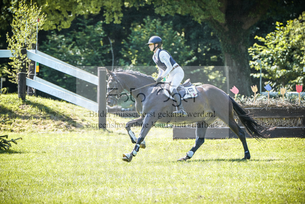 DOS_6103 | Entdecke hochwertige Reitturnierfotos von Foto Oger. Professionell, emotional und authentisch – jetzt Lieblingsmomente im Shop bestellen.Deutschlandweite Turnierfotografie. - Realisiert mit Pictrs.com