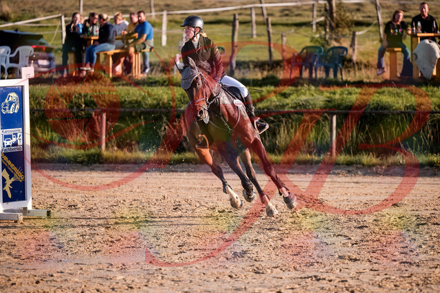 2026_10_03_Siefer-Hof_171901_Z81_16948634 | Professionelle Reitsport-, Turnier- und Eventfotografie von Robert Broda. Galerien mit ausgewählten und bearbeiteten Bildern direkt online ansehen und bestellen.