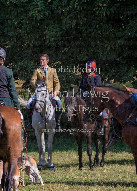 Jagd Perdoel_MarinaHewig_MCH7261 | Fotografie, FotoArt, PferdesportArt, Pferdesportfotografie, Landschaftsfotografie, Reisefotografie, Reise, Pferde - Realisiert mit Pictrs.com