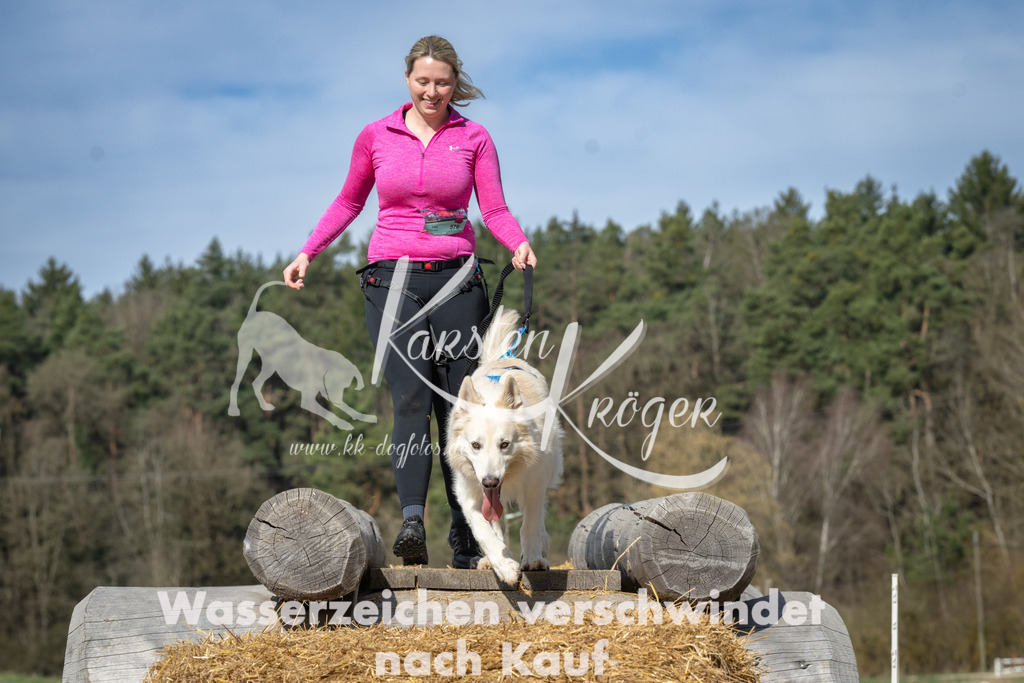 1030_ZZ91913 | kk-dogfotos