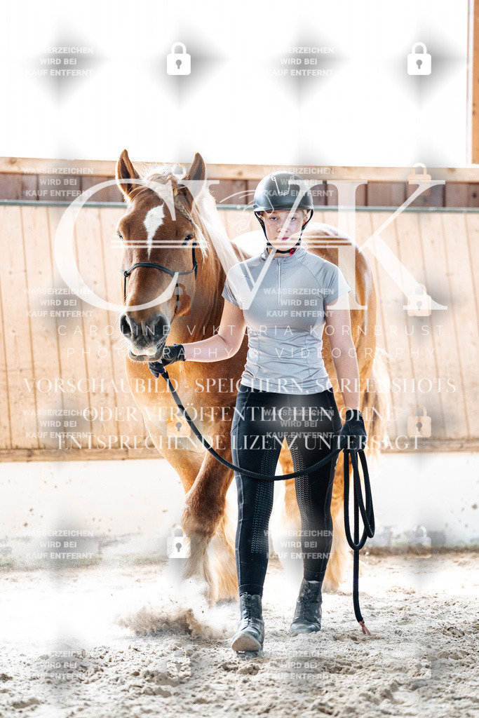 CK906411 | Turnierfotografie Pferdefotografie Trier Rheinland-Pfalz Pferdesport Reitsport Tierfotografie Sportfotografie Pferdevideo Pferdevideografie Equestrianvideography equestrianphotography  - Realisiert mit Pictrs.com