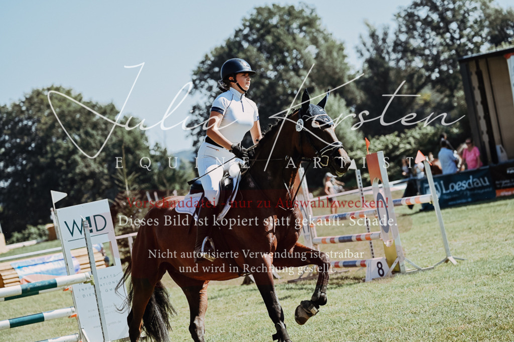 DSC_5955 | Pferde- und Turnierfotografie in Westsachsen. Pferdeportraits, Auftragszeichnungen und intuitive Kunst.