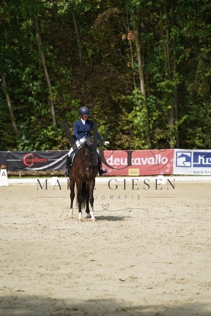 VAN02419 | Marie Giesen Fotografie - Realisiert mit Pictrs.com
