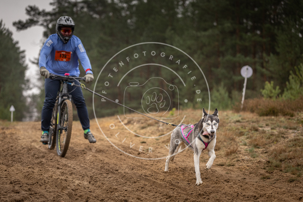 Pfotenfotografie_DV3A3895 | Hundefotografie, Tierfotograf, Pfotenfotografie, Fotoshooting Hund, Hunde Portrait, Hundesport, Hundeportraits, Heideshooting, Hunde, Sportfotograf, Hundefotograf, Turnierhundsport, THS,  - Realisiert mit Pictrs.com