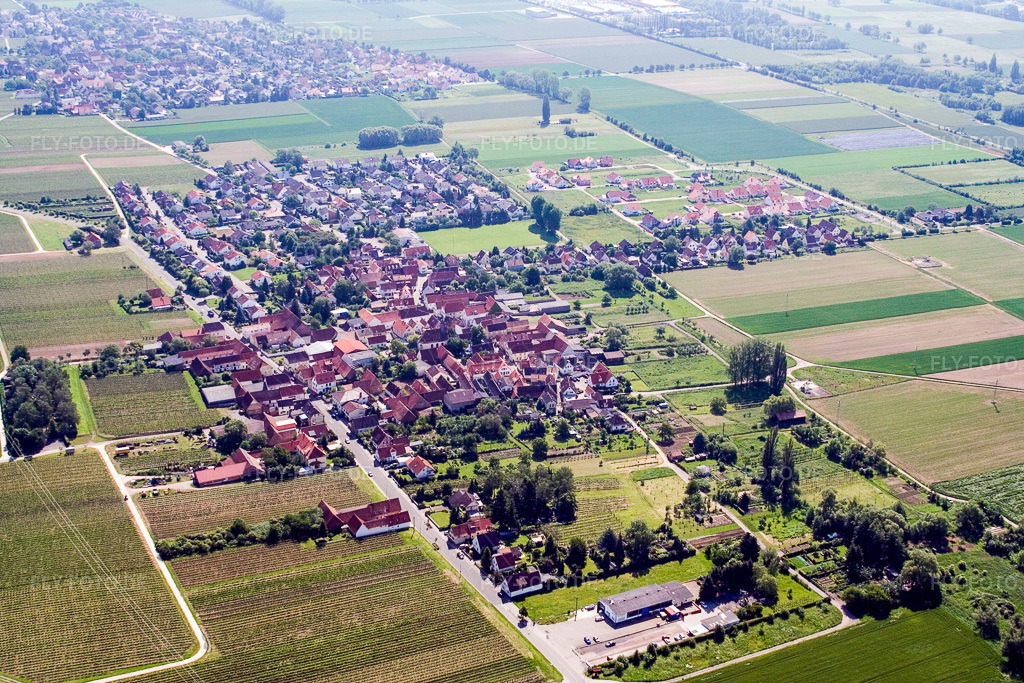 Luftbild: Dorf - Ansicht in der Pfalz im Ortsteil Dammheim in Landau im Bundesland Rheinland-Pfalz in Deutschland. Foto: IMG_2213.jpg vom 03.06.2006 durch Werner Riehm/FLY-FOTO.de