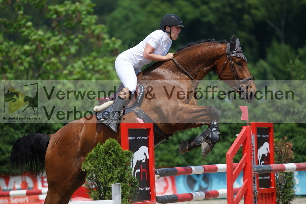 DSC00670 | equestrian-live-com