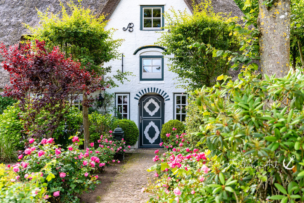 20240619-EAF_4073 | Eilun-Art-Fotografie Levke Martens, ihre Fotografin für Immobilien- und Landschaftsfotografie auf Föhr, Föhrer Motive als Poster, Leinwand, hinter Acrylglas oder stelle dir deinen eigenen Monatskalender zusammen, mit nur einem Klick