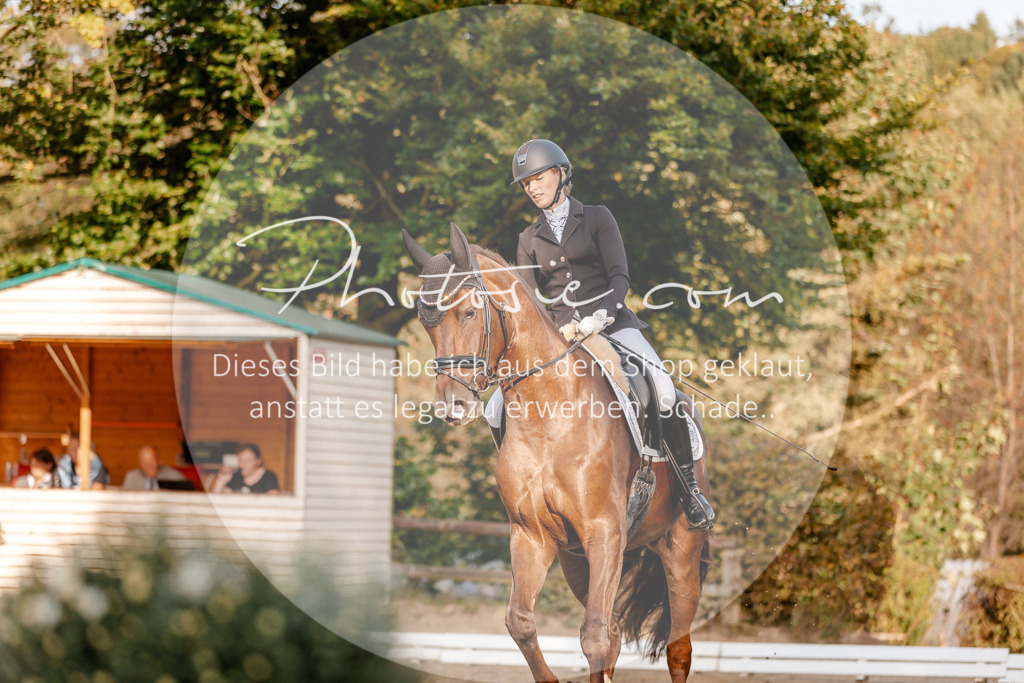 3I6A2508 | Stimmungsvolle Portraits und Reitsportfotografie im Ruhrgebiet und im Münsterland.

Pferdefotografie, Hundefotografie, Tierfotografie, Reportagen, Portraits von Tier und Mensch, Turnierfotografie in Bochum, Recklinghausen, Marl, Haltern am See, Dülmen.. - Realisiert mit Pictrs.com