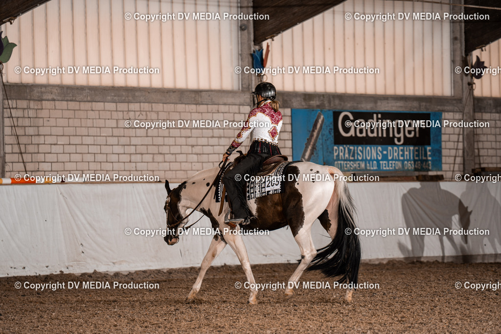 ZH100073 | dv-media-shop - Realisiert mit Pictrs.com