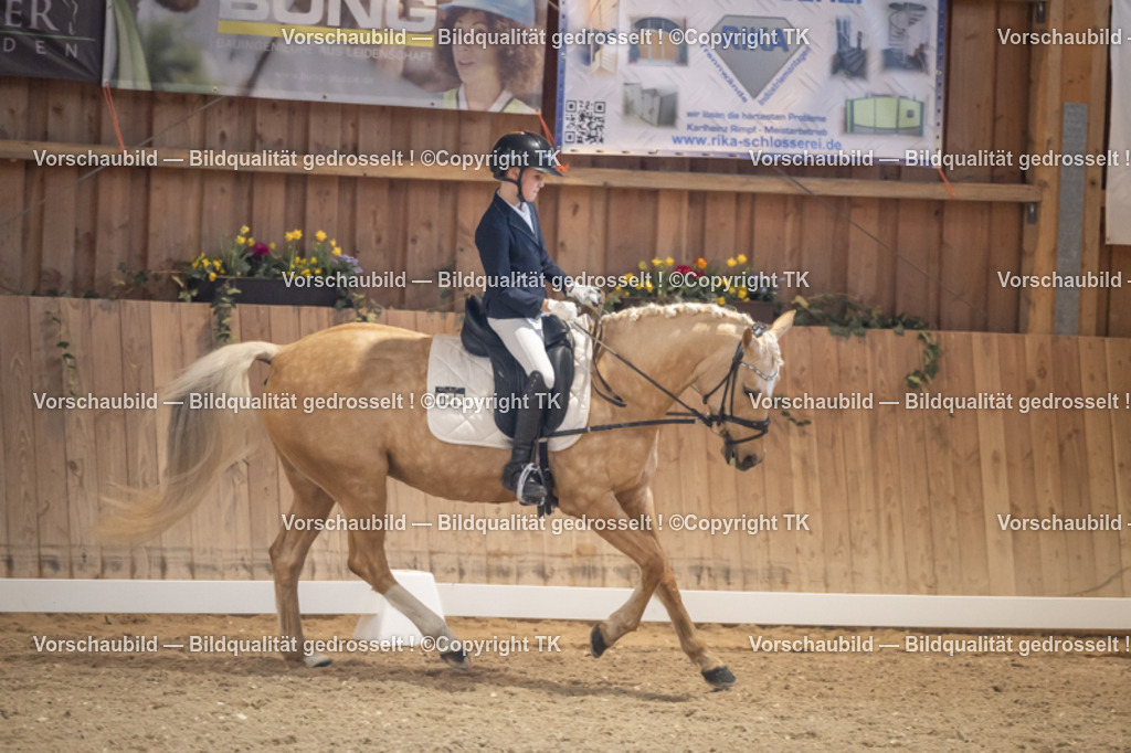 _D5A2292 | Emotionale Pferde- & People-Fotografie rund um Heidelberg, Leimen & Umgebung. Natürliche Fotos von Pferd, Mensch & Familie. Jetzt Termin sichern!