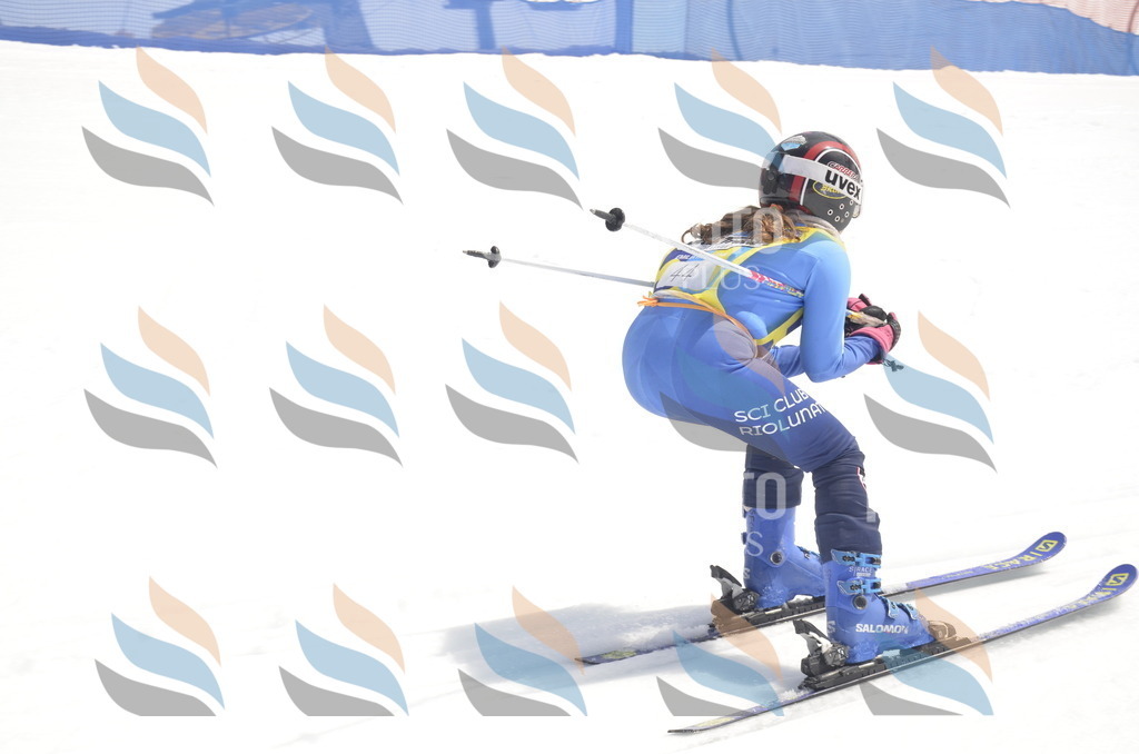 _ELE8753 | holidayphoto