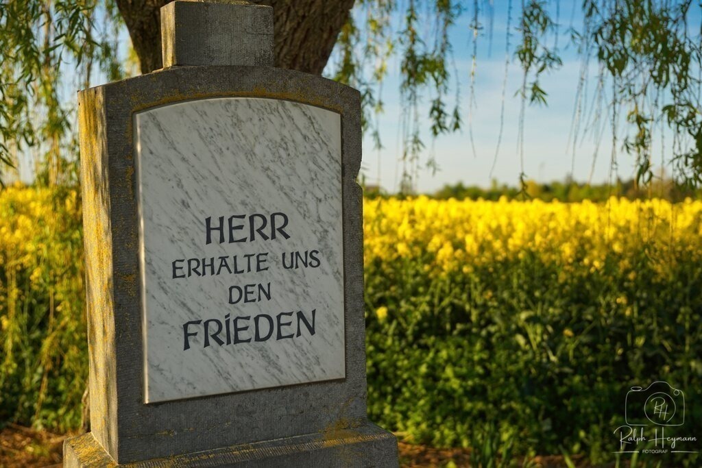 DSC08234 | Ich fotografiere leidenschaftlich Landschaften, Architektur, Portraits und Tiere - Realisiert mit Pictrs.com