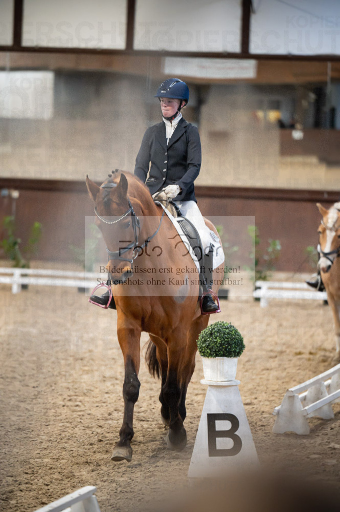 Hallenreittunier Voxtrup 2023 | Entdecke hochwertige Reitturnierfotos von Foto Oger. Professionell, emotional und authentisch – jetzt Lieblingsmomente im Shop bestellen.Deutschlandweite Turnierfotografie. - Realisiert mit Pictrs.com