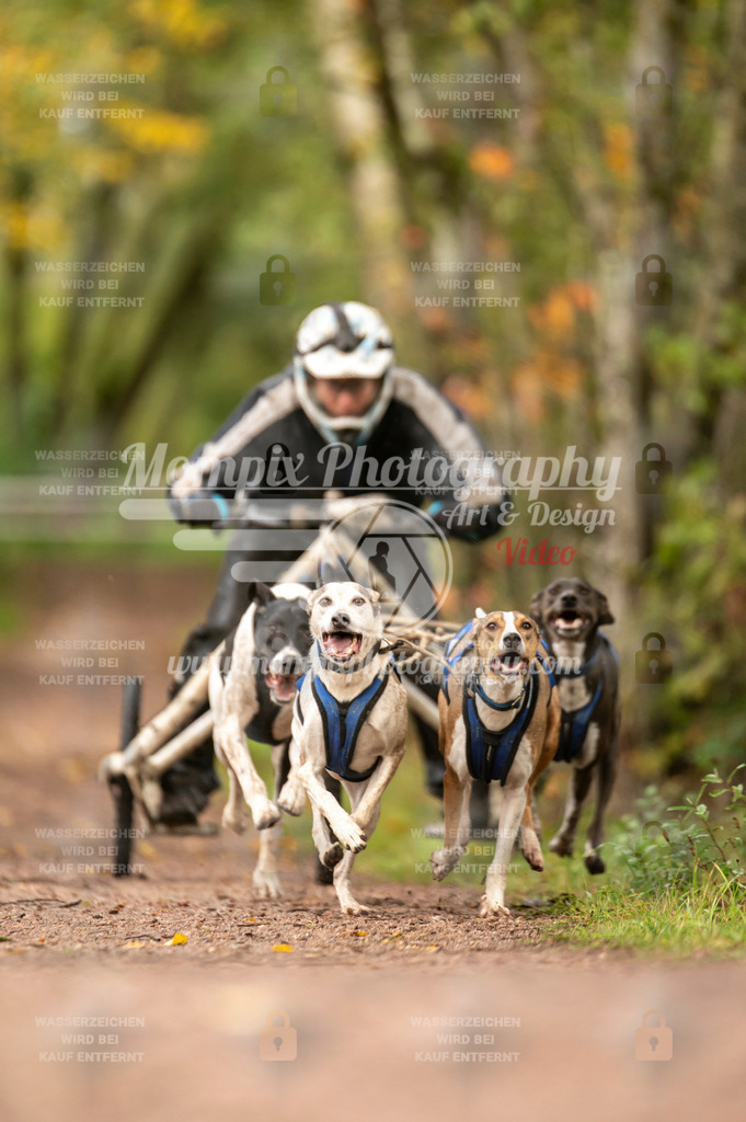 TSB_2023_E4_Kart-3 | mompixphotography