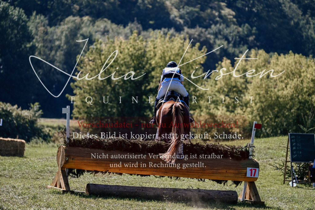 DSC_1373 | Pferde- und Turnierfotografie in Westsachsen. Pferdeportraits, Auftragszeichnungen und intuitive Kunst.
