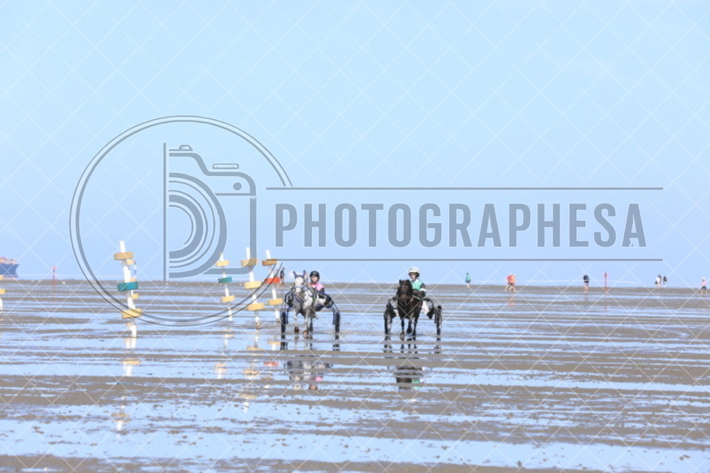 IMG_8735 | photographesa-joergens - Realisiert mit Pictrs.com