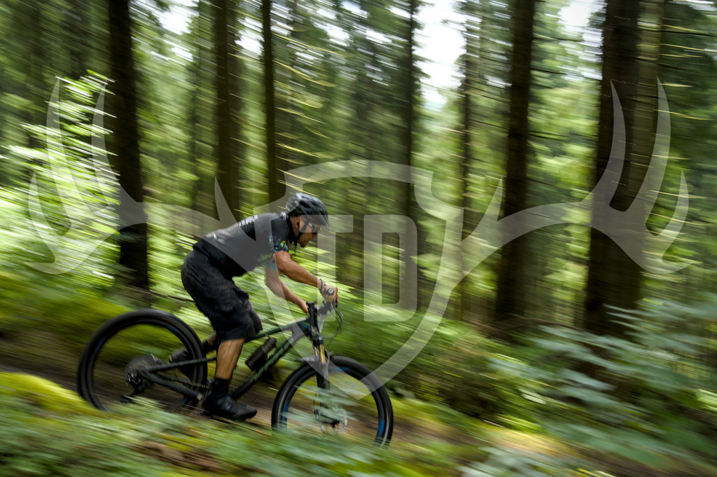 Speed | Treibjagd im Dunkelwald 2025, Bumps and Berms Trail, Rabenberg - Realisiert mit Pictrs.com