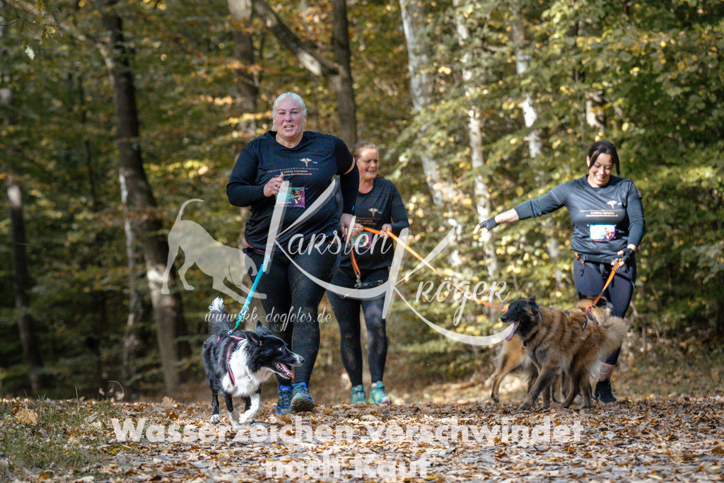 1311_ZZ97557 | kk-dogfotos