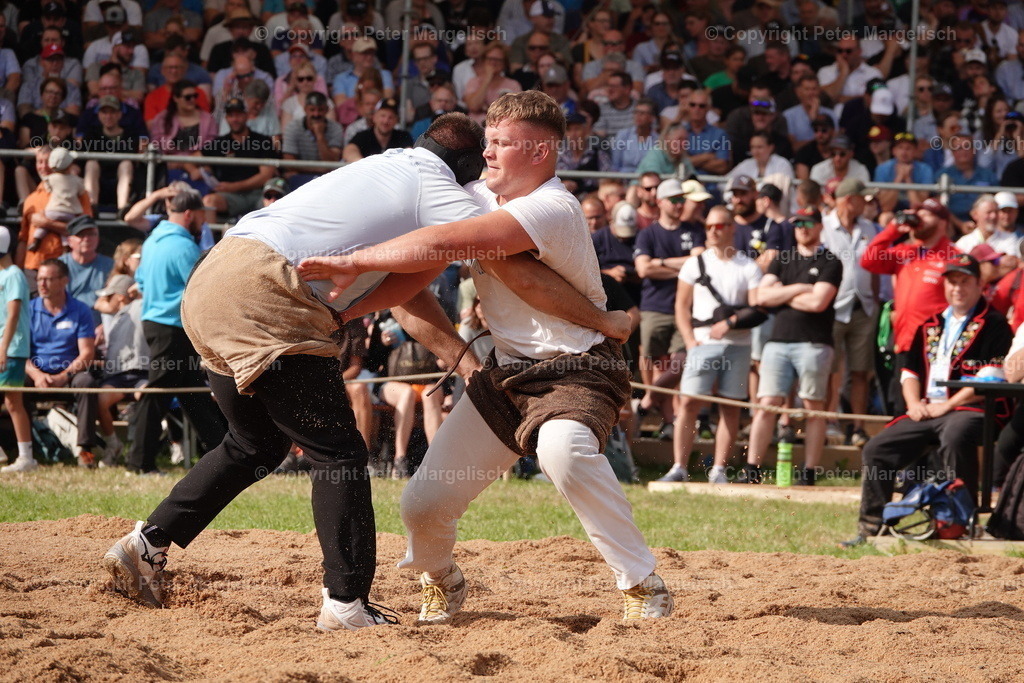 DSC01207 | Schwingen - Realisiert mit Pictrs.com