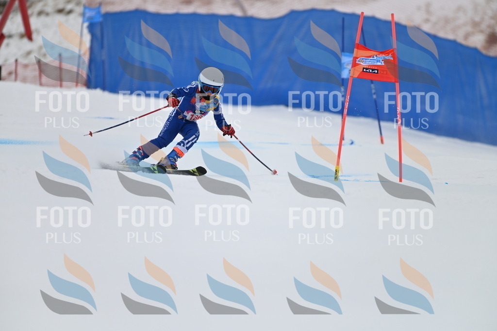 BGV_1220 | holidayphoto