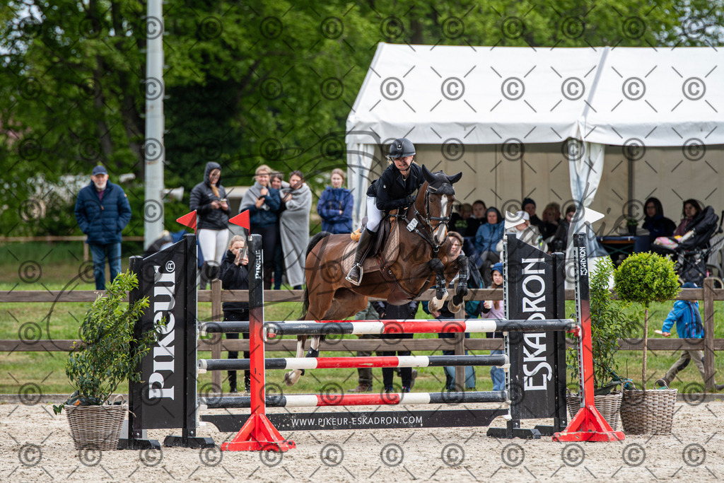 KPT_8955 | andre_photographic