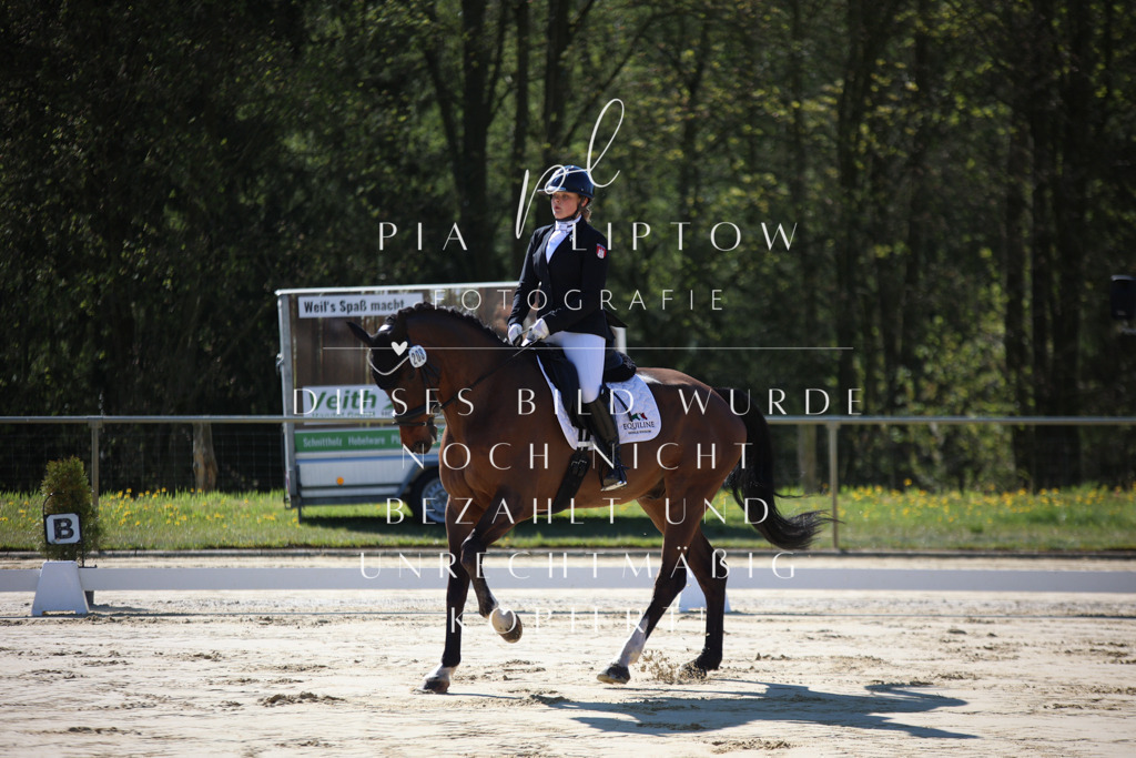 IMGT9237 | pl-fotografie