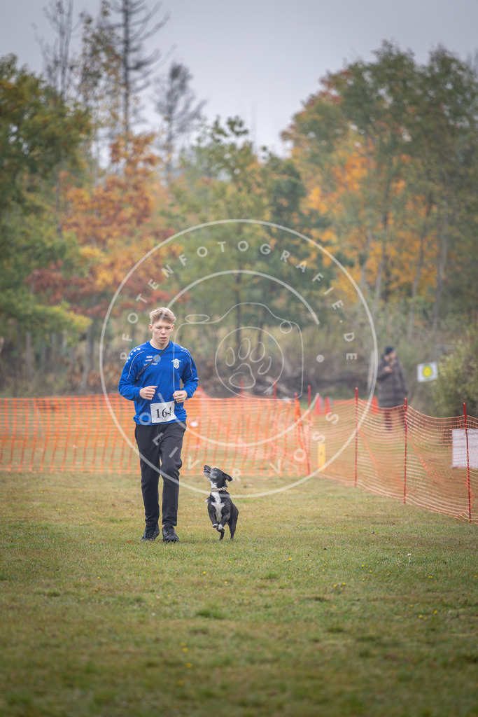 Pfotenfotografie_DV3A8891 | Hundefotografie, Tierfotograf, Pfotenfotografie, Fotoshooting Hund, Hunde Portrait, Hundesport, Hundeportraits, Heideshooting, Hunde, Sportfotograf, Hundefotograf, Turnierhundsport, THS,  - Realisiert mit Pictrs.com