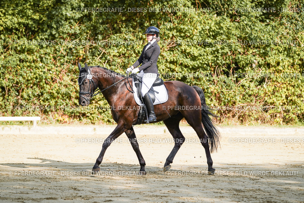 DSC08230 | Pferdegrafie