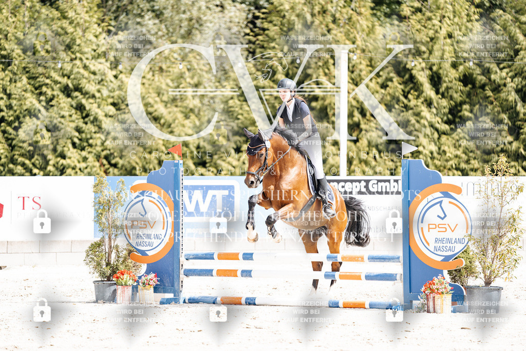 CK906604 | Turnierfotografie Pferdefotografie Trier Rheinland-Pfalz Pferdesport Reitsport Tierfotografie Sportfotografie Pferdevideo Pferdevideografie Equestrianvideography equestrianphotography  - Realisiert mit Pictrs.com