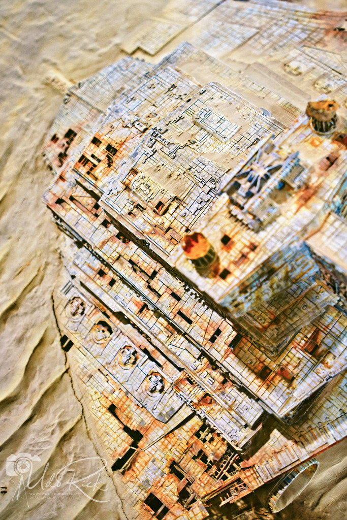 noris_force_con21 | Entdecken Sie Fotografie aus Leidenschaft: Auftragsfotografie, HD-Fotos, Geschenkartikel aus Ihren Bildern und vieles mehr. Beauftragen Sie uns für besondere Momente!