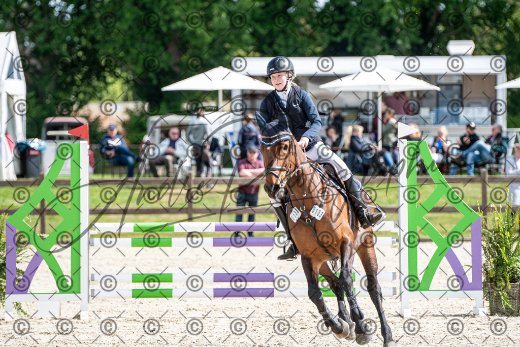 KPT_4971 | andre_photographic