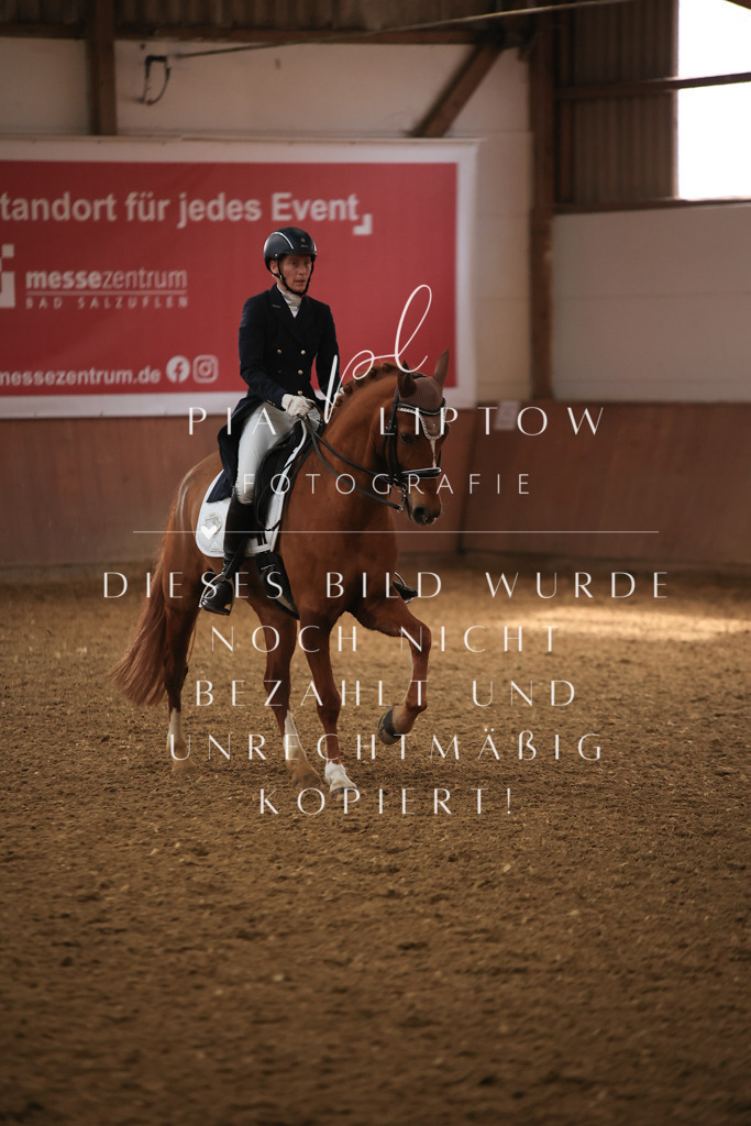 IMGT4615 | pl-fotografie