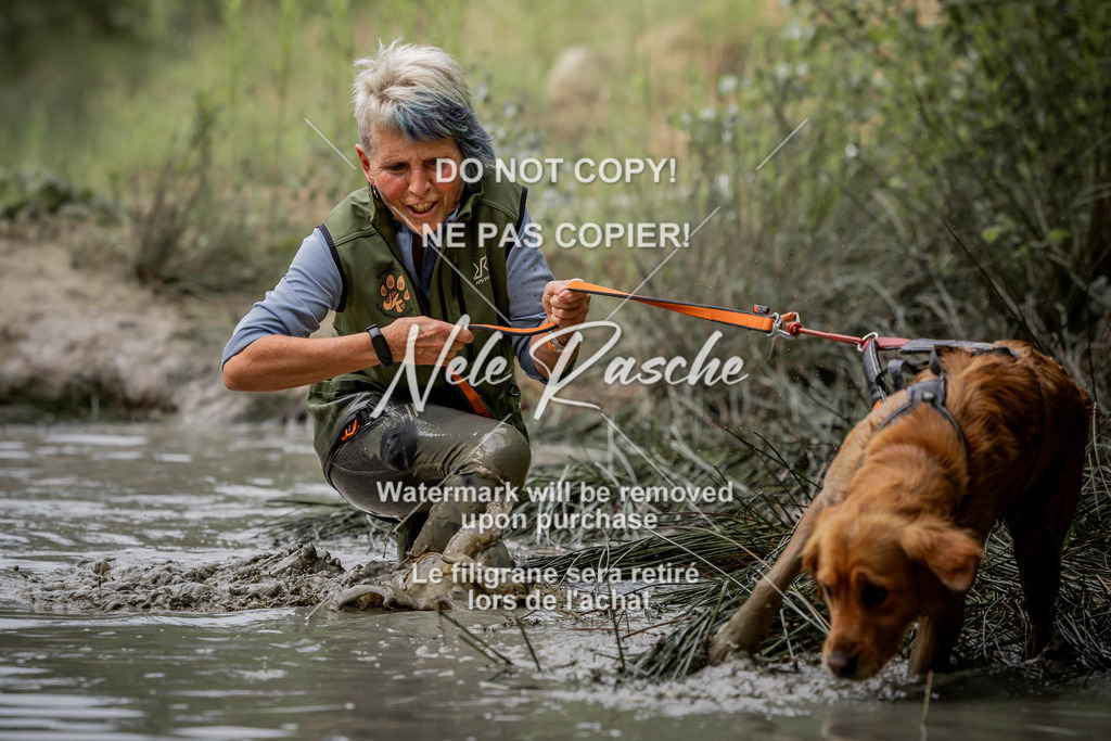 nelerasche_so0800-0930_232 | nelerasche