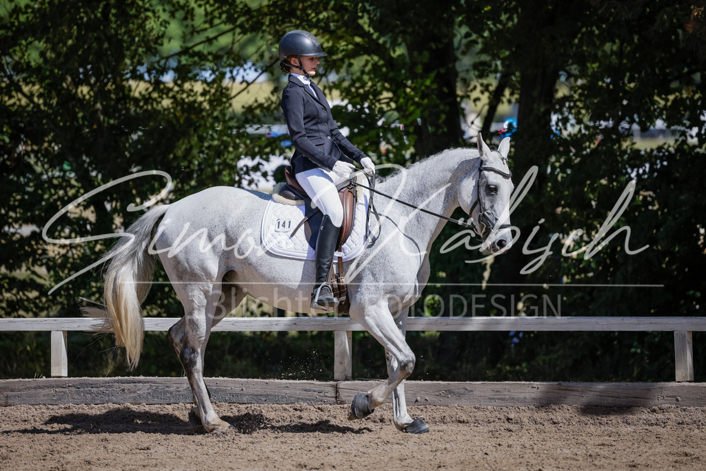 20250906-_3LI4552 | Tierfotografie Pferde, Hunde, Katzen, Haustiere.
Turnierfotografie Reitturniere, Reiten, Springreiten, Dressur in Hanau, dem Main-Kinzig-Kreis und dem Rhein-Main- Gebiet um Frankfurt