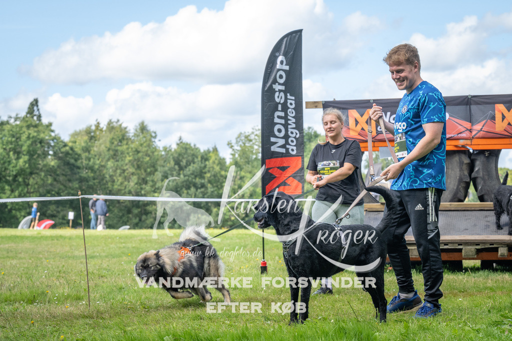 1547_ZZ94187 | kk-dogfotos