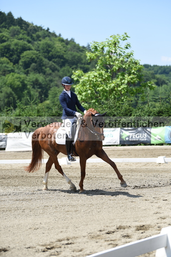 DSC_0574 | equestrian-live-com