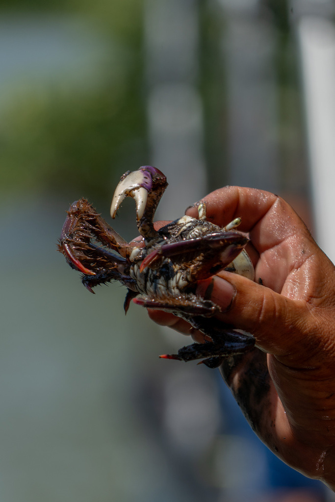 20251112-DeltaTour-0014 | paulependelt - Realisiert mit Pictrs.com