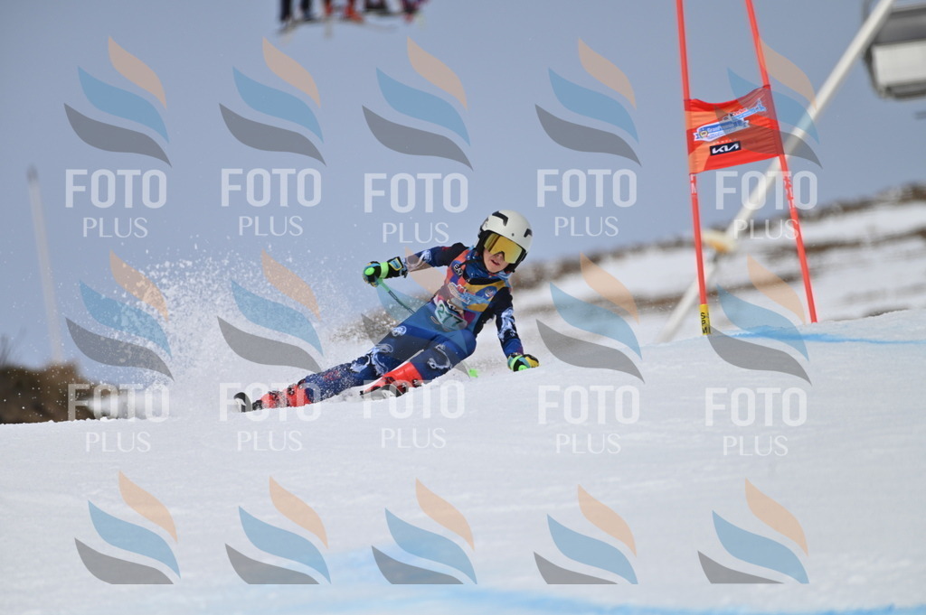 BGV_5493 | holidayphoto