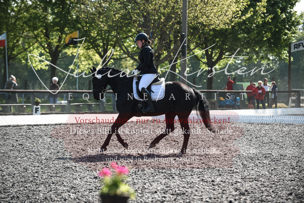 DSC_8827 | Pferde- und Turnierfotografie in Westsachsen. Pferdeportraits, Auftragszeichnungen und intuitive Kunst.