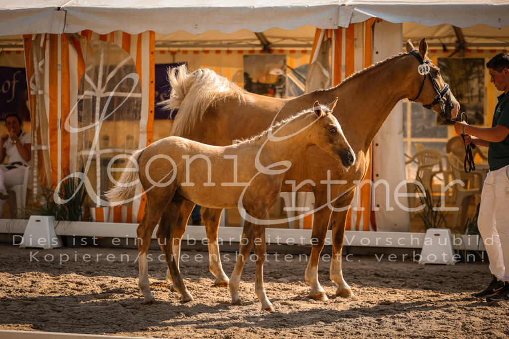 11.DoRP00090 | Leoni Ertmer Photography - Realisiert mit Pictrs.com