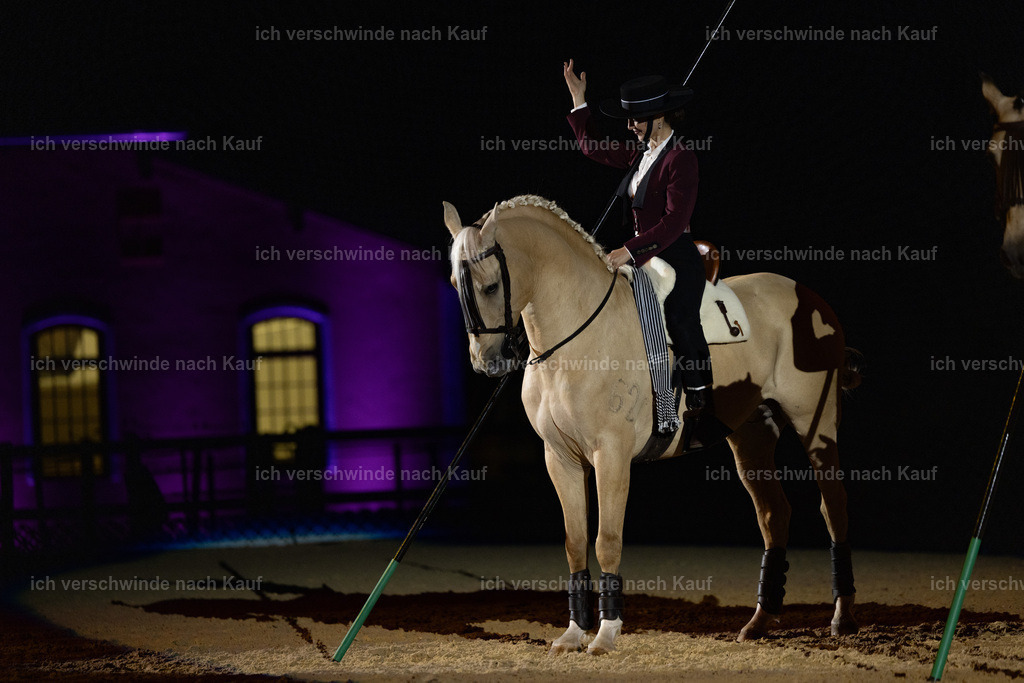 FHClassics-189 | working equitationturnier fotograf videograf stoibphotography marixx film working equitation deutschland reitsport turnierfotografie eventfotografie equestrian events