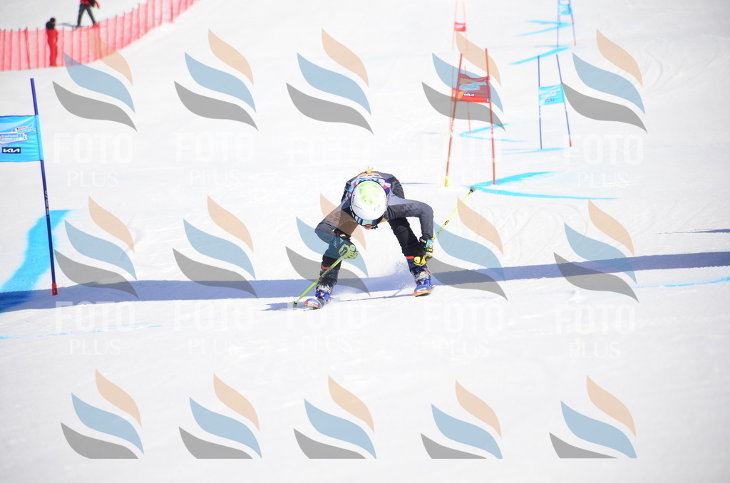 VR4_9387 | holidayphoto