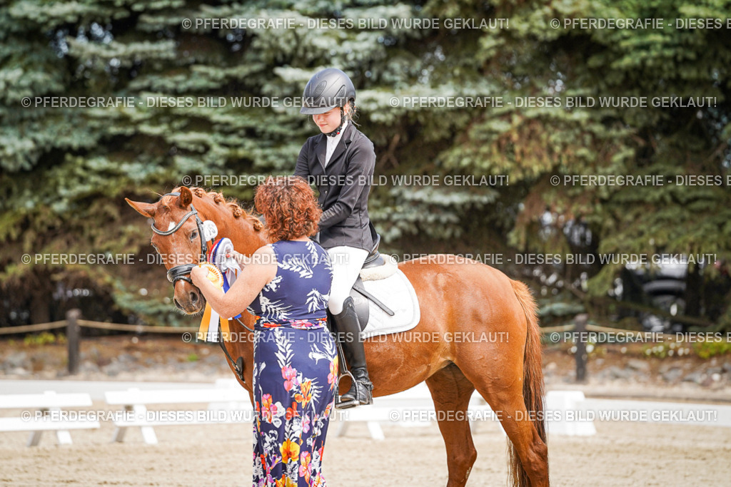 DSC02621 | Pferdegrafie