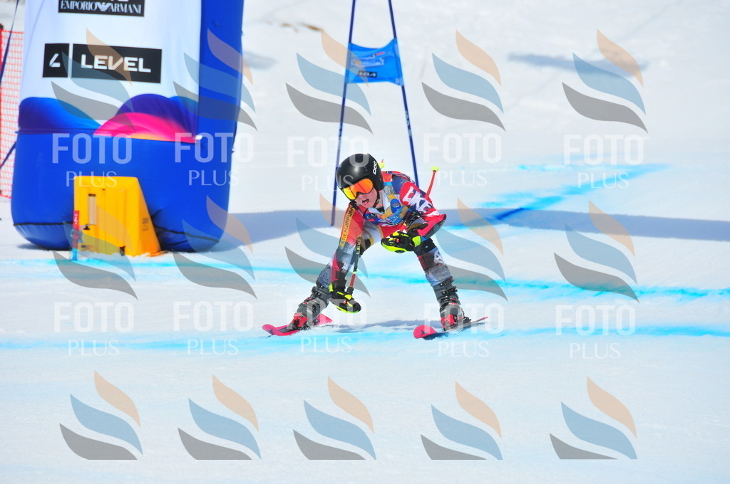 DSC_5891 | holidayphoto