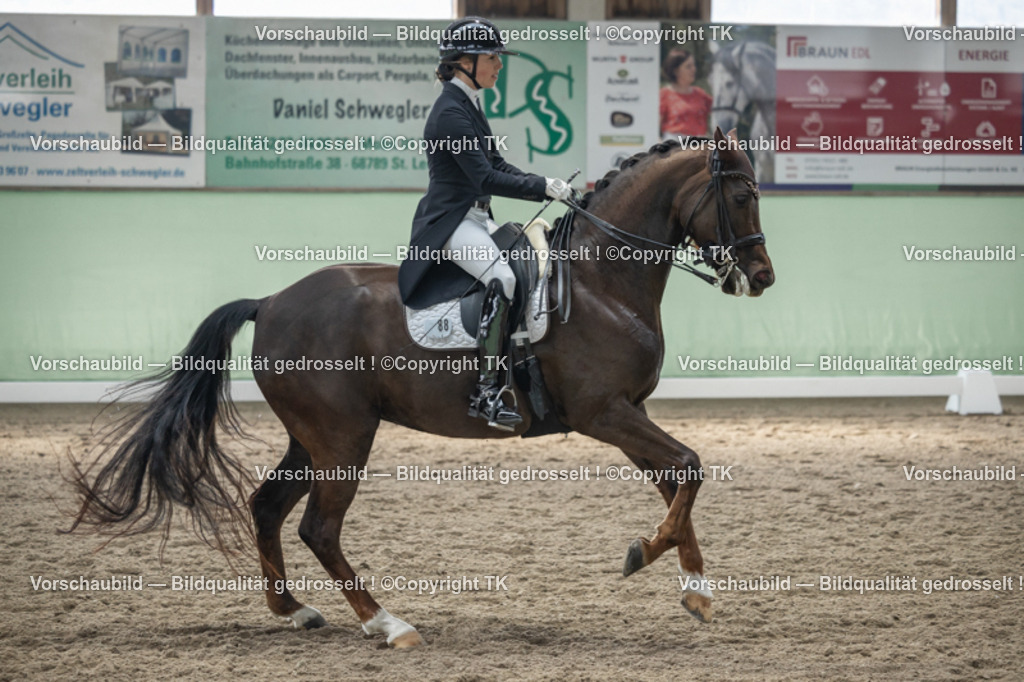 _D5A4930 | Emotionale Pferde- & People-Fotografie rund um Heidelberg, Leimen & Umgebung. Natürliche Fotos von Pferd, Mensch & Familie. Jetzt Termin sichern!