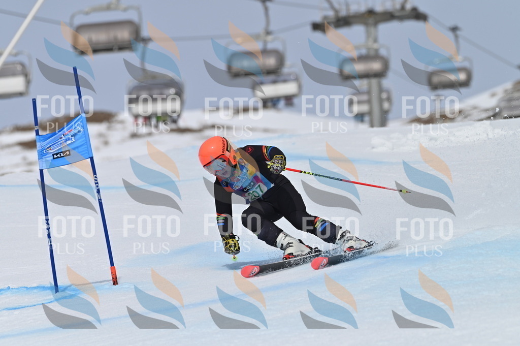 BGV_4006 | holidayphoto